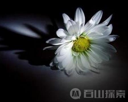 斯人已逝，何处话相思